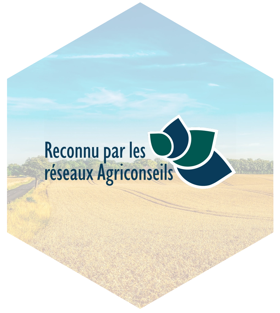 Conseillère reconnue auprès des 16 réseaux